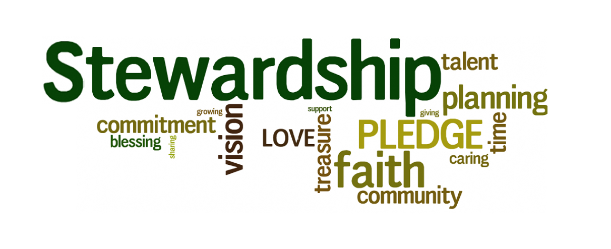 Image result for stewardship